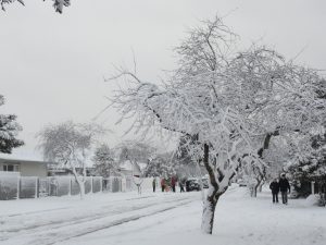 Snow, Christchurch, New Zealand