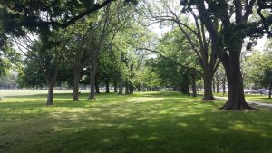 Hagley Park, Christchurch, New Zealand