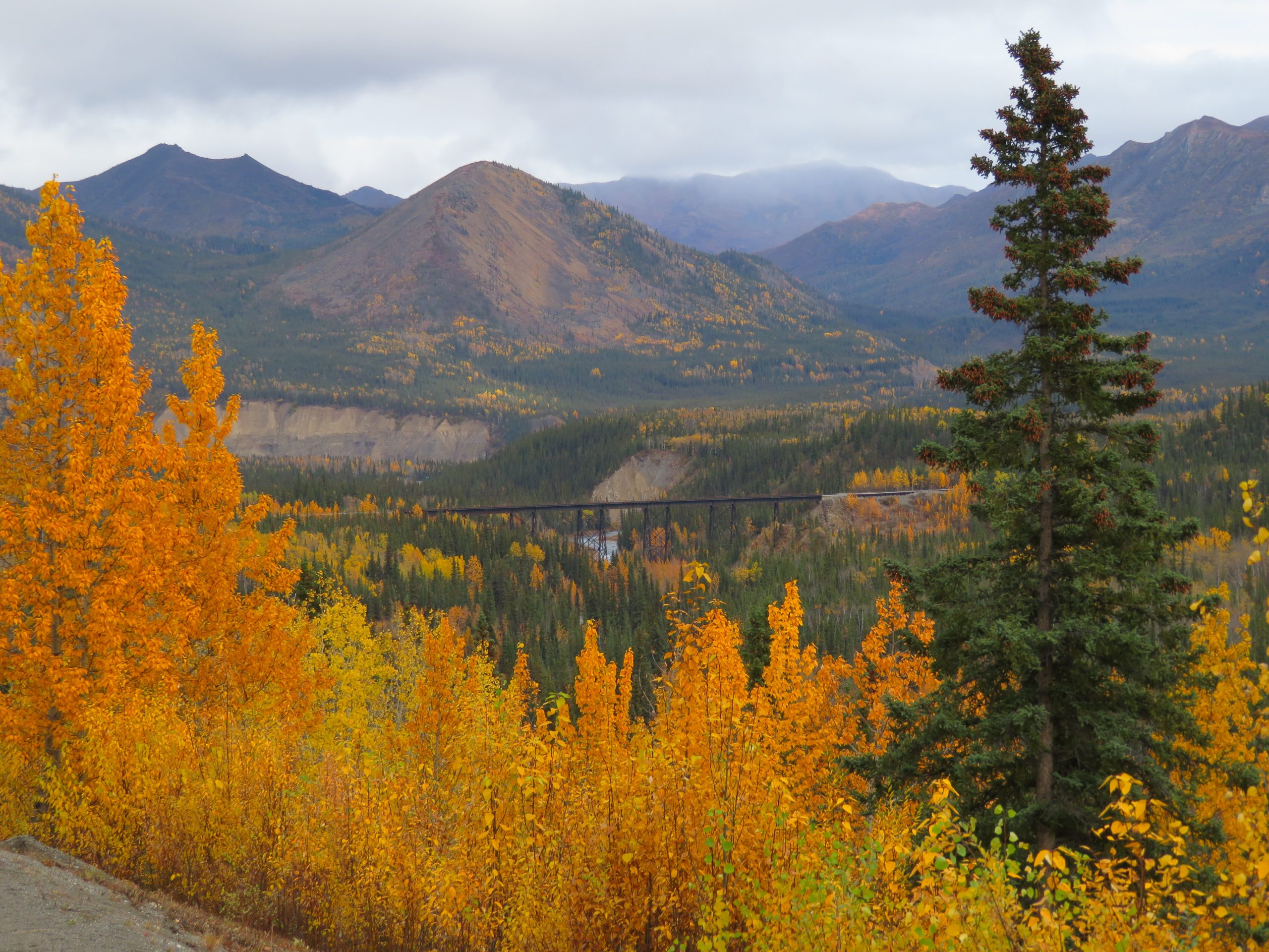 Denali National Park, Alaska, USA