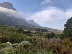 Kirstenbosch Gardens, Cape Town, South Africa