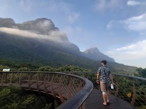 Kirstenbosch Gardens, Cape Town, South Africa