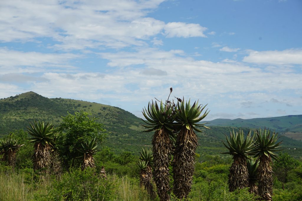 Riemland, Kwa-Zulu Natal, South Africa