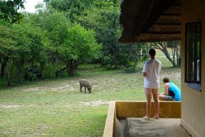 Mpila Camp, Hluhluwe National Park, Kwa-Zulu Natal, South Africa