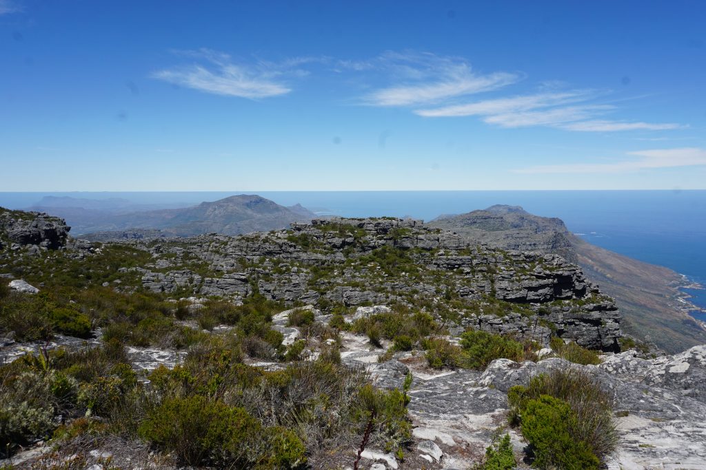 View from Table Mountain, Cape Town, South Africa