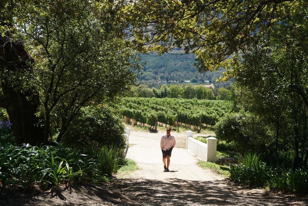 Franschhoek Wine Tram, Cape Town, South Africa