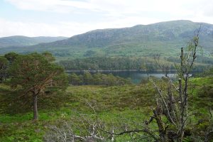 Glen Affric, Highlands, Scotland