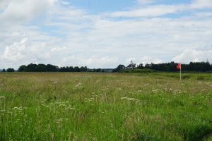 Culloden Battlefield, Inverness, Highlands, Scotland