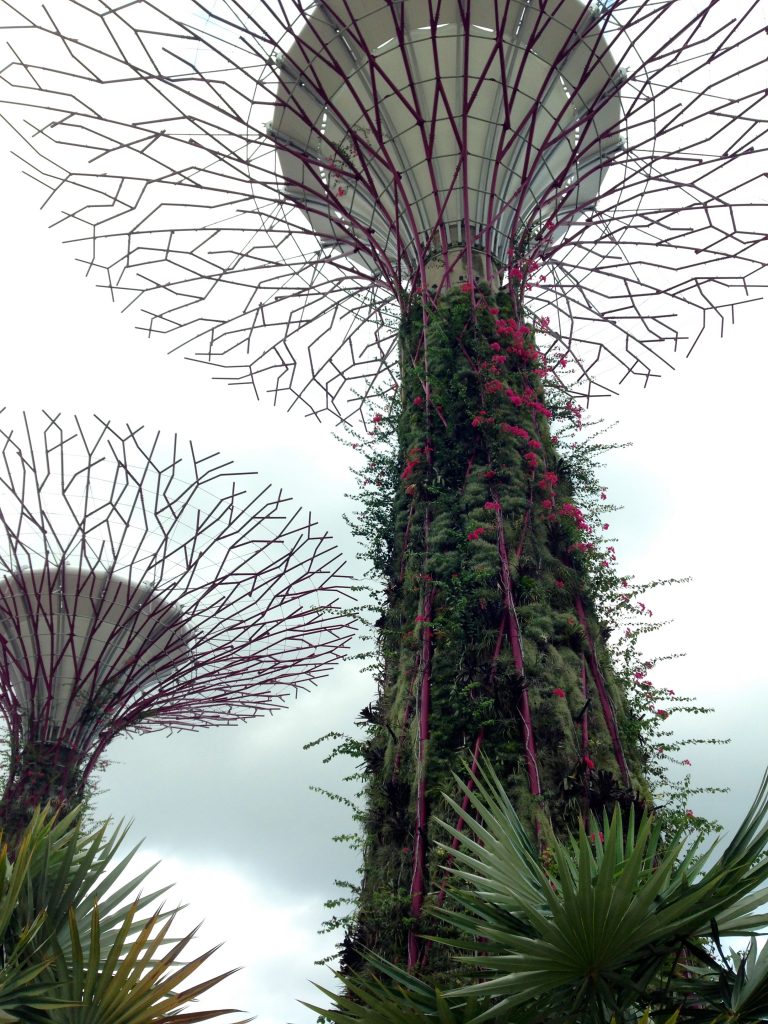 Gardens by the Bay Singapore